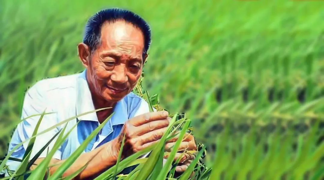 中国有5000年农业历史，为什么比不上200年的美国